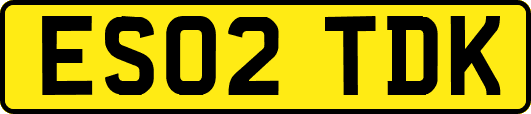 ES02TDK