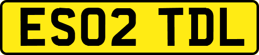 ES02TDL