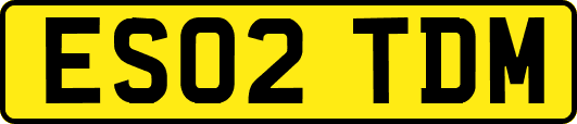 ES02TDM