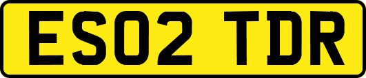 ES02TDR