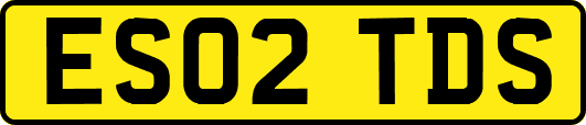 ES02TDS