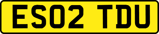 ES02TDU
