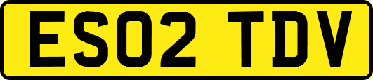 ES02TDV