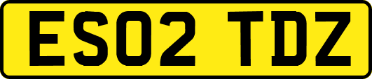 ES02TDZ