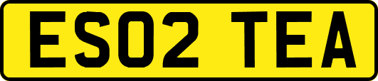 ES02TEA