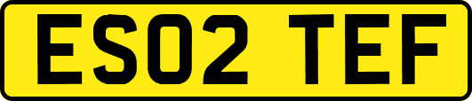 ES02TEF