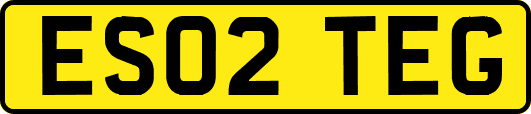 ES02TEG