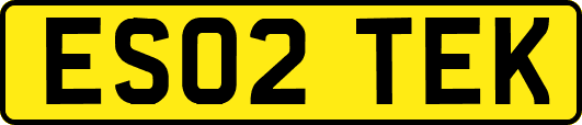 ES02TEK