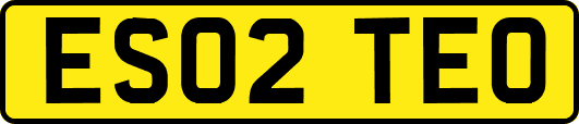 ES02TEO