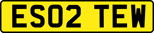 ES02TEW