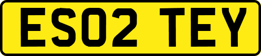 ES02TEY