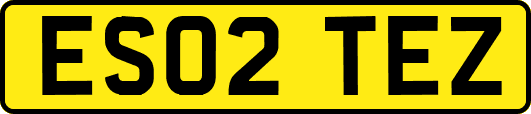 ES02TEZ