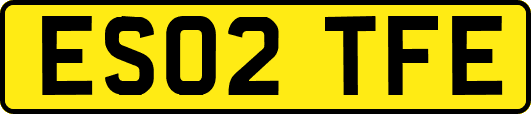 ES02TFE