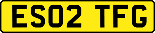 ES02TFG
