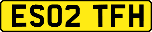ES02TFH