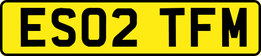ES02TFM