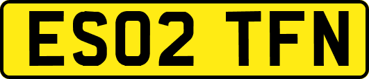 ES02TFN