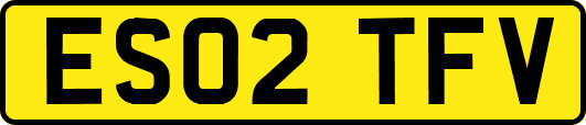 ES02TFV