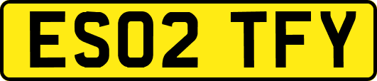 ES02TFY