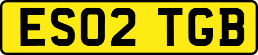 ES02TGB