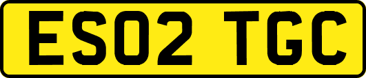 ES02TGC