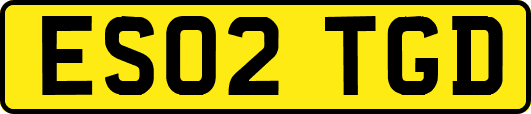 ES02TGD
