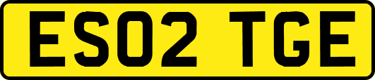 ES02TGE
