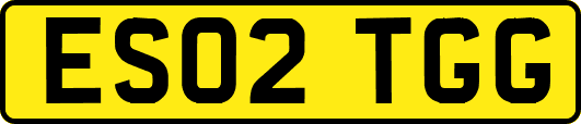 ES02TGG