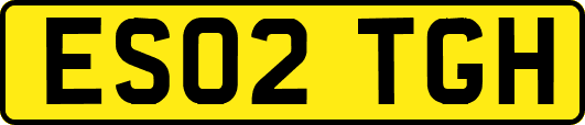 ES02TGH
