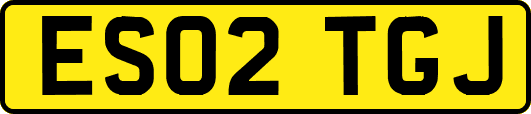 ES02TGJ