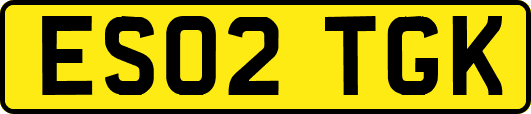 ES02TGK