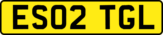 ES02TGL