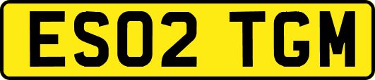 ES02TGM