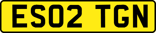 ES02TGN