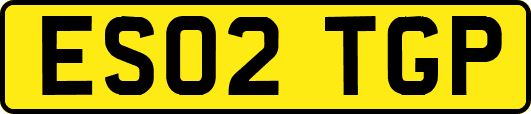 ES02TGP