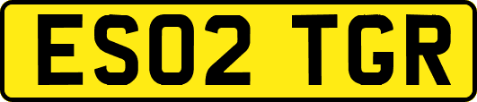 ES02TGR