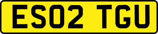 ES02TGU
