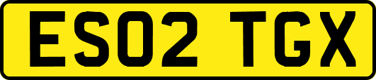 ES02TGX