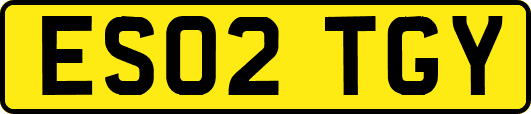 ES02TGY