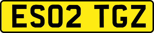 ES02TGZ