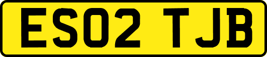 ES02TJB