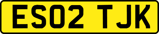 ES02TJK