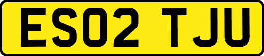 ES02TJU