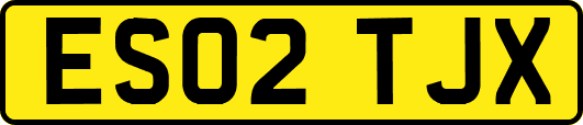 ES02TJX