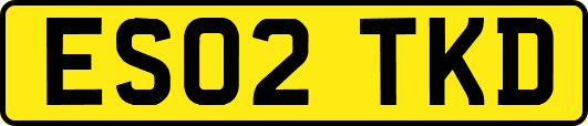 ES02TKD