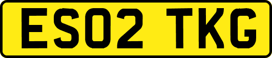 ES02TKG