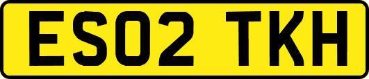 ES02TKH