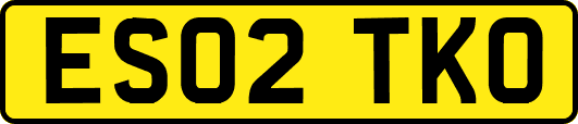 ES02TKO