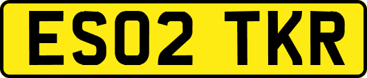 ES02TKR