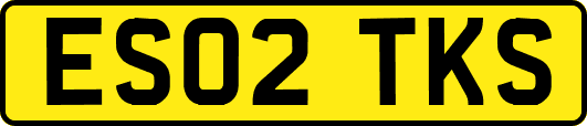 ES02TKS